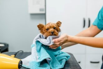 tornar o banho do seu cão agradável!